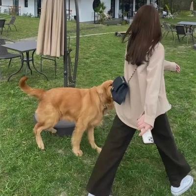 万渣朝凰第三季
